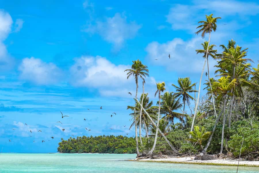From Tahiti: Tetiaroa Island Tour by Sailing Catamaran - Meeting the crew before sunrise