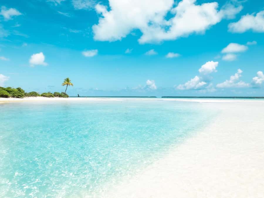 From Tahiti: Tetiaroa Island Tour by Sailing Catamaran - The return crossing, fruit salad, and punch