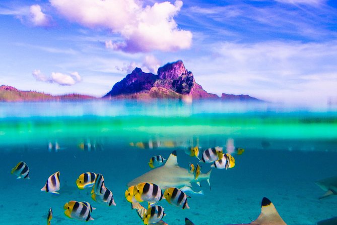 Full-Day Bora Bora Lagoon Cruise Including Snorkeling with Sharks and Stingrays - Key points to know before booking