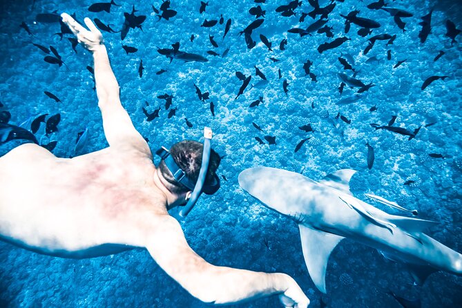 Full-Day Bora Bora Lagoon Cruise Including Snorkeling with Sharks and Stingrays - Lunch on a private motu