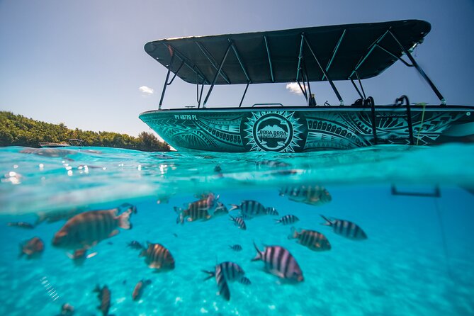 Full Day Eco Snorkeling & Traditional BBQ Lunch on a Motu - A Full Morning on Bora Bora’s Lagoon