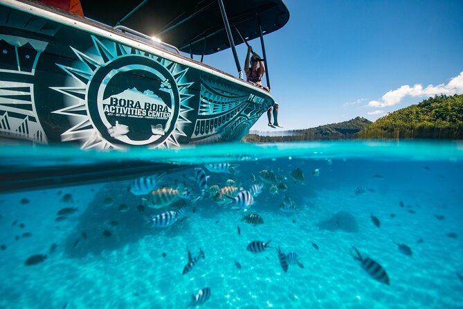 Full Day Eco Snorkeling & Traditional BBQ Lunch on a Motu - A Polynesian Barbecue on a Secluded Motu