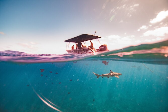 Full Day Eco Snorkeling & Traditional BBQ Lunch on a Motu - Who Will Get the Most From This Tour