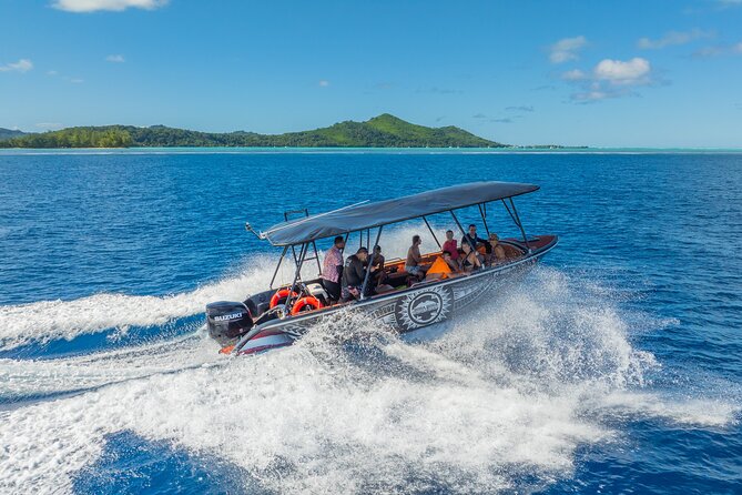 Full Day Eco Snorkeling & Traditional BBQ Lunch on a Motu - Three or Four Snorkeling Stops With Different Rewards