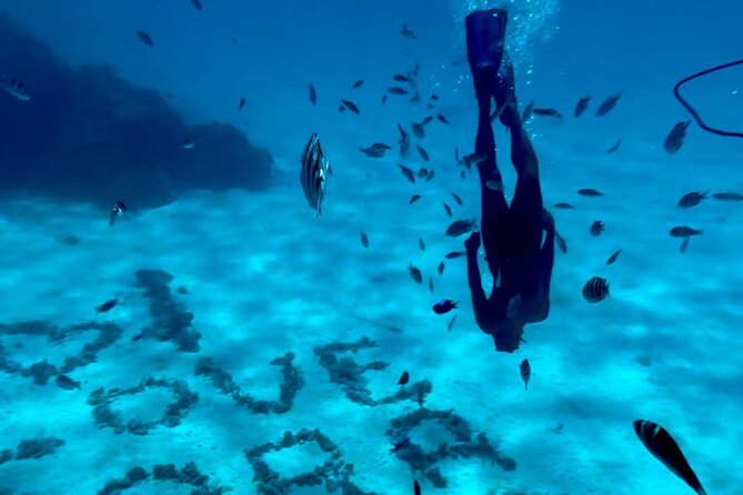 Full Day Lagoon experience with motu lunch - Key points before you book