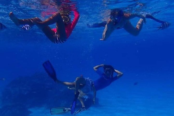 Full-Day Private Boat Tour of Bora Bora Lagoon with Snorkel - Seven hours across Bora Bora’s lagoon