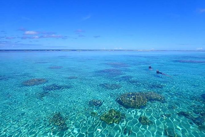 Full-Day Private Boat Tour of Bora Bora Lagoon with Snorkel - A one-hour pause on a private motu