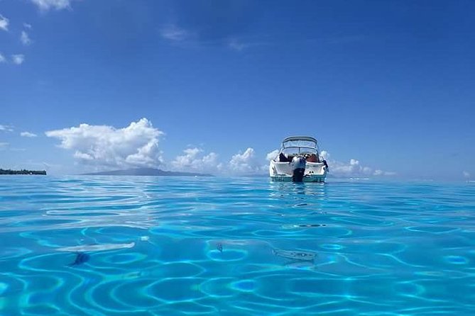 Full-Day Private Boat Tour of Bora Bora Lagoon with Snorkel - Sun, swimming, and practical comfort