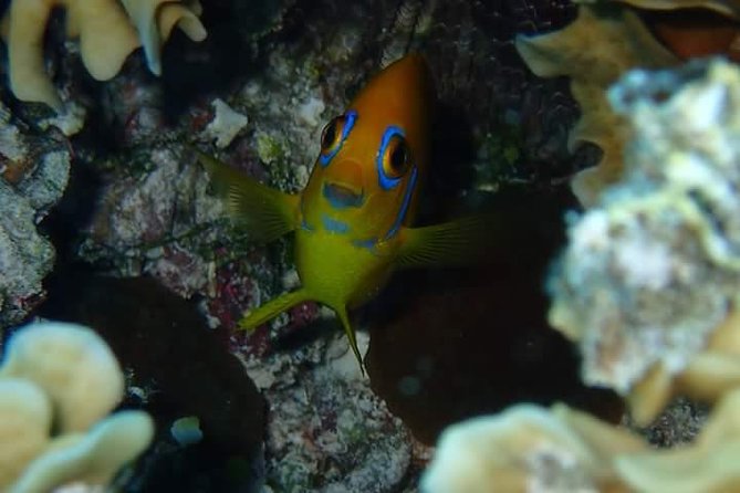 Full-Day Private Boat Tour of Bora Bora Lagoon with Snorkel - Weather and cancellation rules