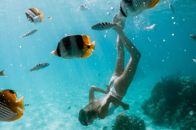 Full Day Tour : Moorea Snorkeling & Sunset Cruise on a Catamaran named Taboo - Meeting the boat at Voila Moorea