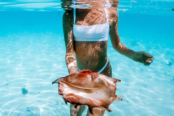Full Day Tour : Moorea Snorkeling & Sunset Cruise on a Catamaran named Taboo - Sailing past Cook’s Bay and Opunohu Bay