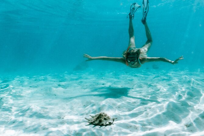 Full Day Tour : Moorea Snorkeling & Sunset Cruise on a Catamaran named Taboo - The sunset finish with fruit and maitais