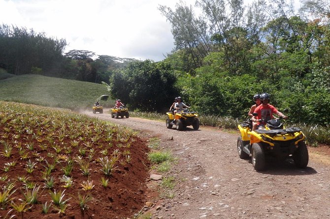 Grand Tour Quad Excursion in Moorea (Single or Two-Seater) - Fare Tutava for fruit juice and local products