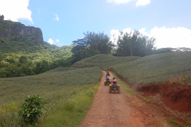 Grand Tour Quad Excursion in Moorea (Single or Two-Seater) - The climb to Magic Mountain