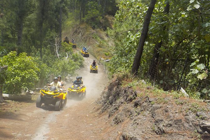 Grand Tour Quad Excursion in Moorea (Single or Two-Seater) - What to bring and what is supplied