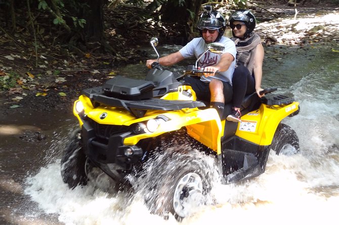 Grand Tour Quad Excursion in Moorea (Single or Two-Seater) - Pineapple fields and the island’s everyday side