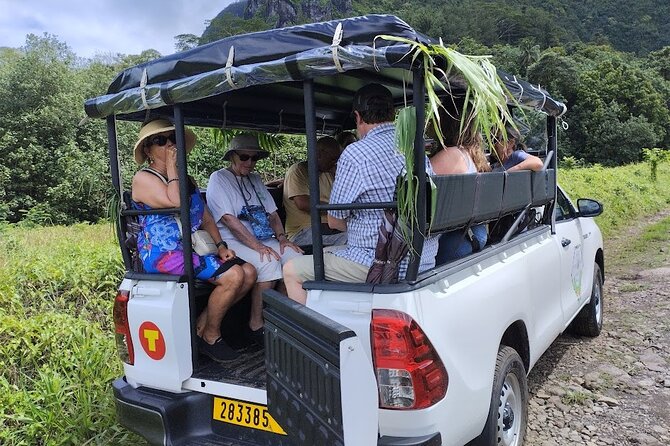 Guided Excursion in 4x4 in Moorea between Land and Sea - Key points to know before booking