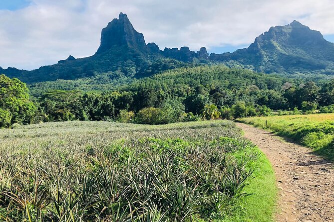 Guided Excursion in 4x4 in Moorea between Land and Sea - What this Moorea 4x4 tour is really like