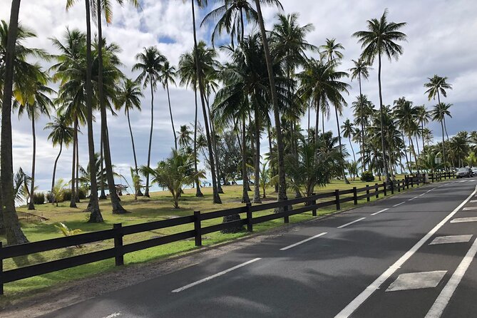 Guided Excursion in 4x4 in Moorea between Land and Sea - Cook Bay and Opunohu Bay from Belvedere Lookout