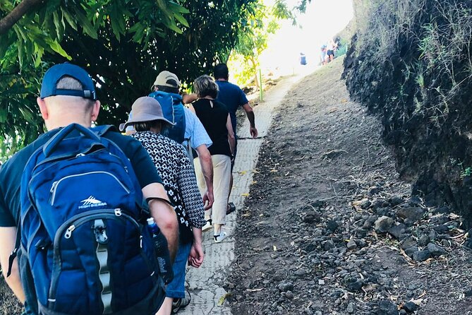 Guided Excursion in 4x4 in Moorea between Land and Sea - Manutea Tahiti brings fruit flavors into the day