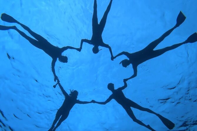 Guided Small Group Whale Watching and Swim Tour Tahiti - A respectful whale encounter, when conditions align