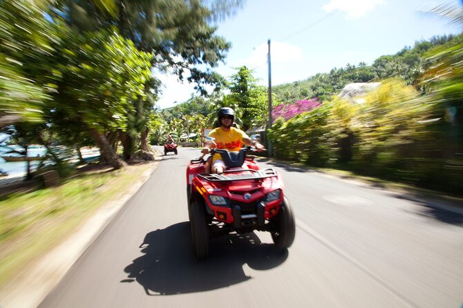 Guided Tour of Bora Bora by Quad - Teonetere, the shaded jungle break