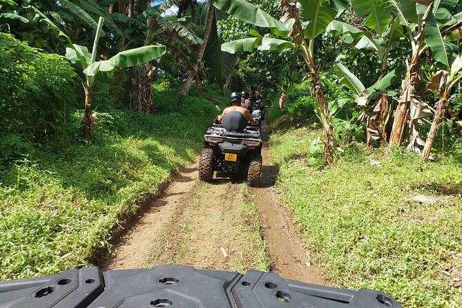 Guided tour of the island and its escapades in Tahaa by Quad / ATV - Hipu plantations and the work behind local food