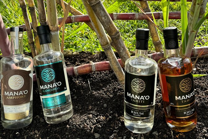 Guided tour of the island and its escapades in Tahaa by Quad / ATV - Patio’s tropical fruit and frozen coconut finish