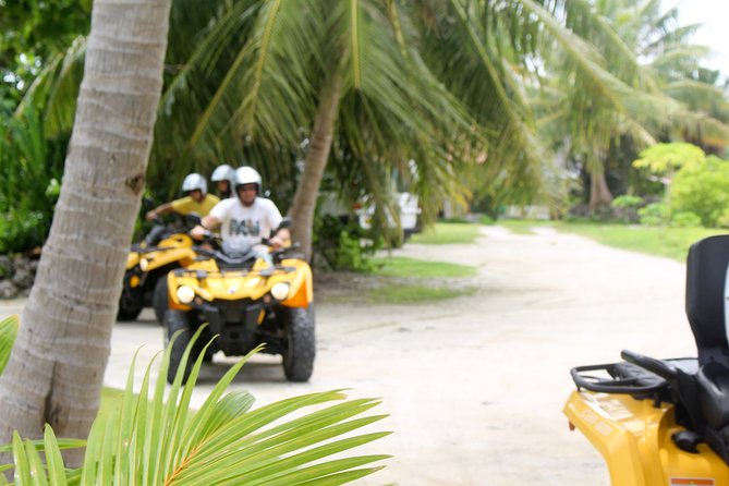 Guided tour of the island of Tahaa with Revanui Excursions - The boat, group size, and ride quality
