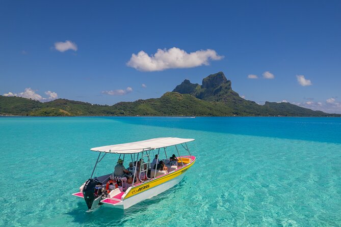 Half a day to discover Bora Bora with O-sea - A coral garden full of small details