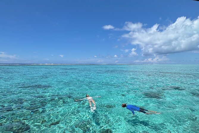 Half day Eco Snorkeling small group Tour in Bora Bora - Why This Three-Hour Lagoon Trip Works