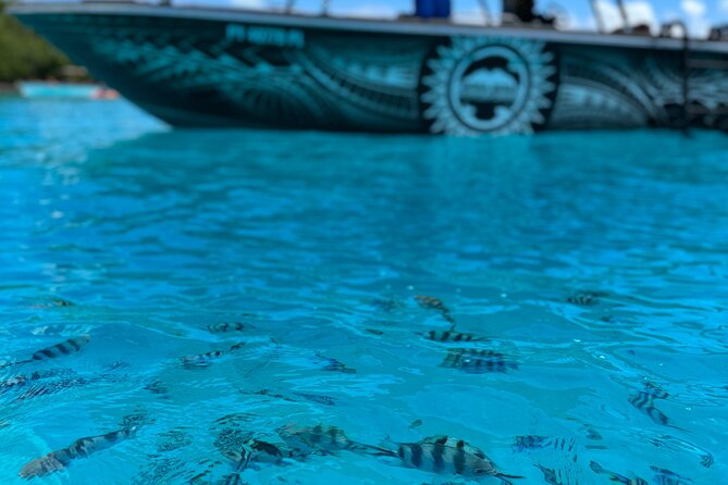 Half day Eco Snorkeling small group Tour in Bora Bora - Who Will Enjoy This Tour Most?