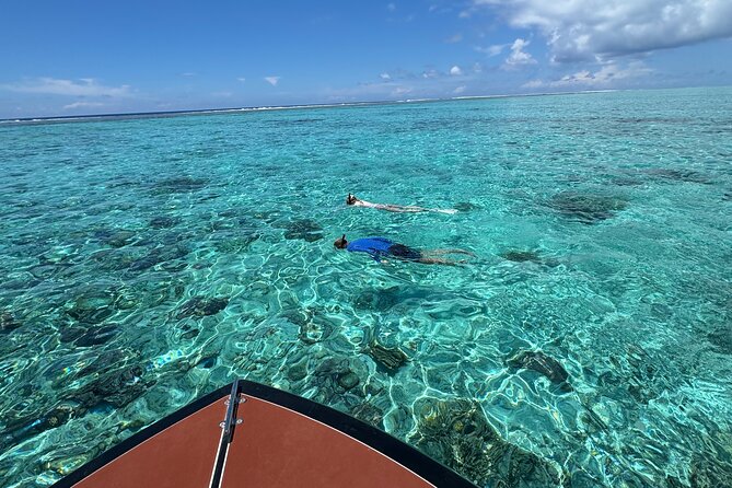 Half day Eco Snorkeling small group Tour in Bora Bora - Should You Book the Eco Snorkeling Tour?