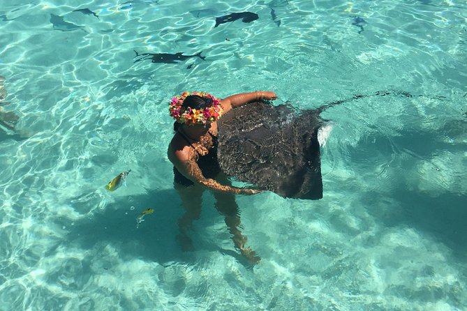 Half day Excursion, Drift Snorkeling Lagoon Adventure. 3H - Key points at a glance