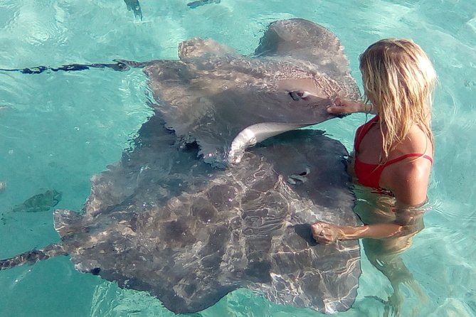 Half day Excursion, Drift Snorkeling Lagoon Adventure. 3H - The guides make the difference