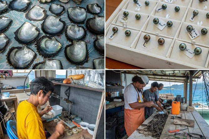Half day excursion Tahaa - departure Raiatea / ideal cruise line - The pearl farm and Tahitian black pearls