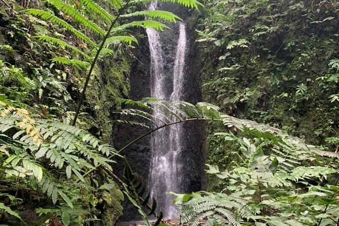 Half-Day Guided Hike to Afareaitu Waterfall - Key points to know before booking