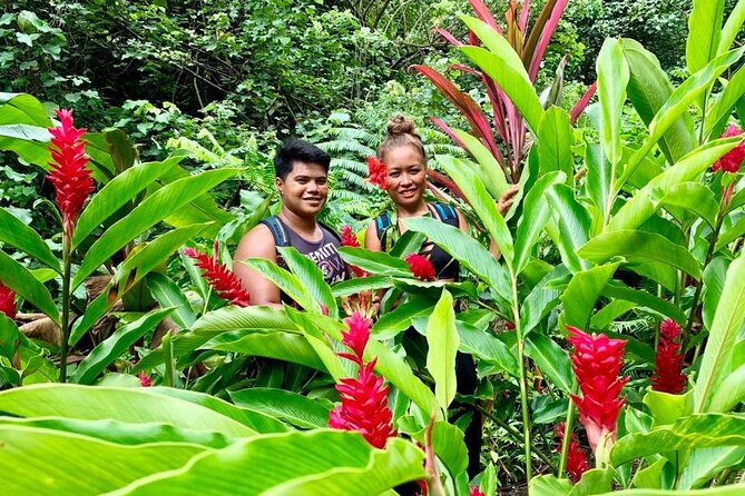 Half-Day Guided Hike to Afareaitu Waterfall - What the Afareaitu hike is really about