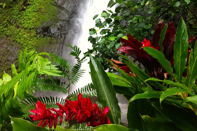 Half-Day Guided Hike to Afareaitu Waterfall - Walking through the valley of gods and kings