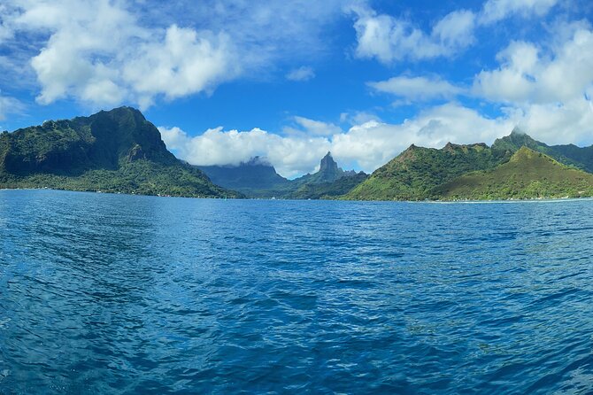 Half-Day Humpback Whales Encounter in Moorea - Key points to know before you book