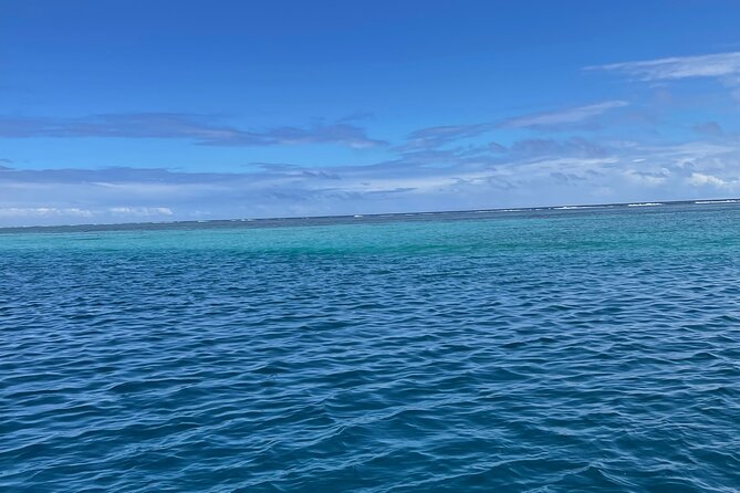 Half-Day Humpback Whales Encounter in Moorea - Entering the water with up to six people