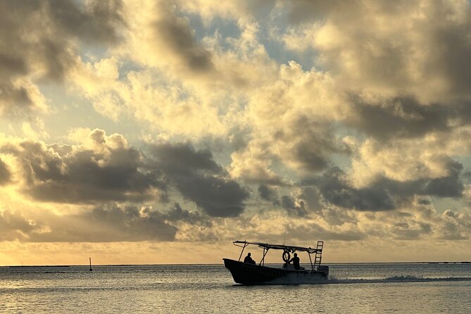 Half-Day Humpback Whales Encounter in Moorea - What the crew adds to the experience