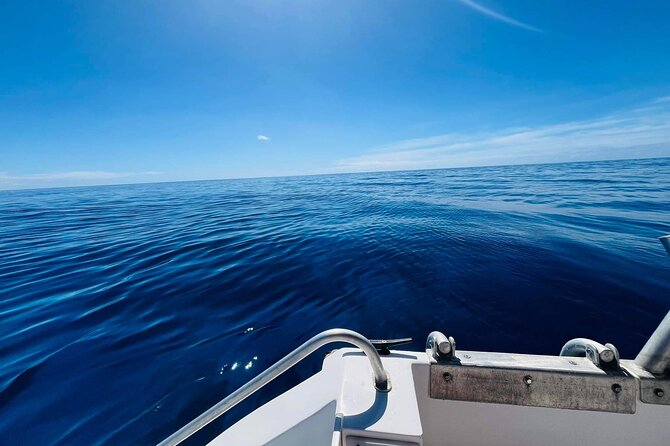 Half-Day Humpback Whales Encounter in Moorea - The real value of a $236.85 whale encounter