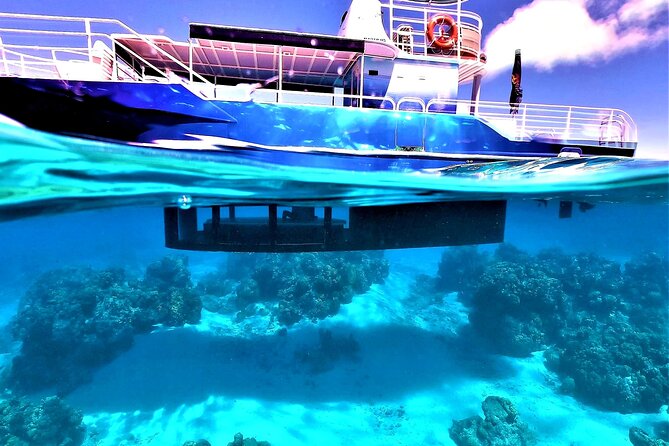 Half day lagoon safari tour in Bora Bora- Shared tour - Who should book this safari