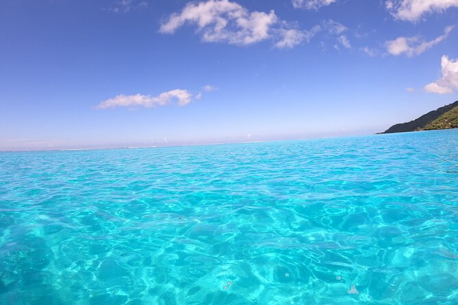 Half Day Private Boat Snorkeling Excursion Moorea - Motu Tiahura and the open-water aquarium