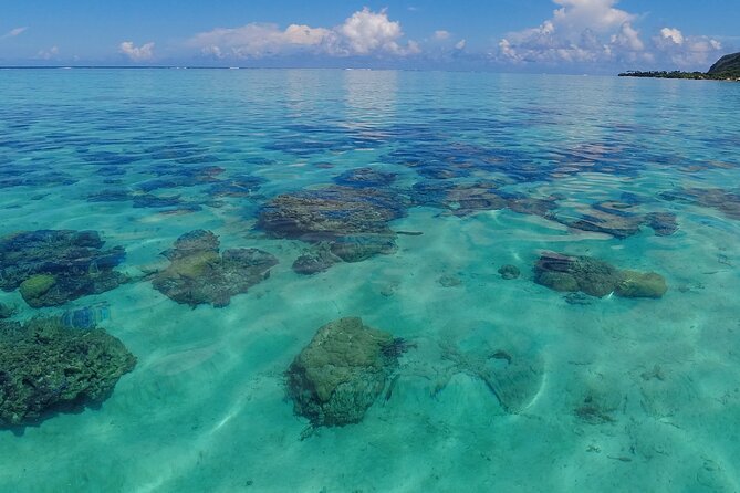 Half Day Private Boat Snorkeling Excursion Moorea - Fruit, juice, and a needed pause