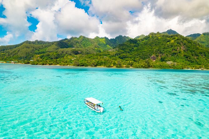 Half Day / Private Lagoon Adventure in Mo'orea - Key points before you book