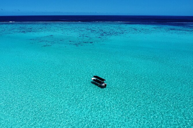 Half Day / Private Lagoon Adventure in Mo'orea - Why Mo’orea’s lagoon is the real attraction