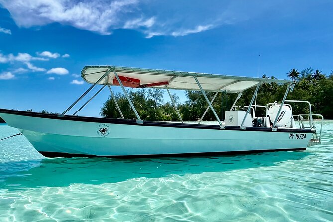 Half Day / Private Lagoon Adventure in Mo'orea - The shallow sandbar with rays and reef sharks