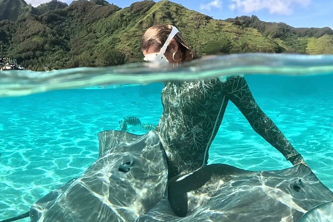 Half Day / Private Lagoon Adventure in Mo'orea - Snorkeling the coral garden